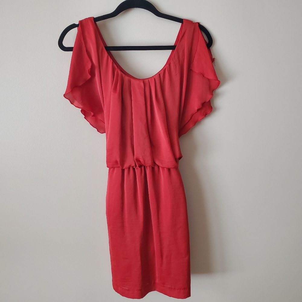 Flutter Sleeve Dress